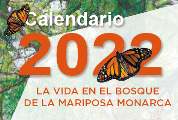 LA VIDA EN EL BOSQUE
DE LA MARIPOSA MONARCA