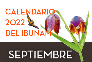 Septiembre 2022, Descarga digital